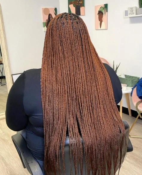 Regular Knotless Braids C